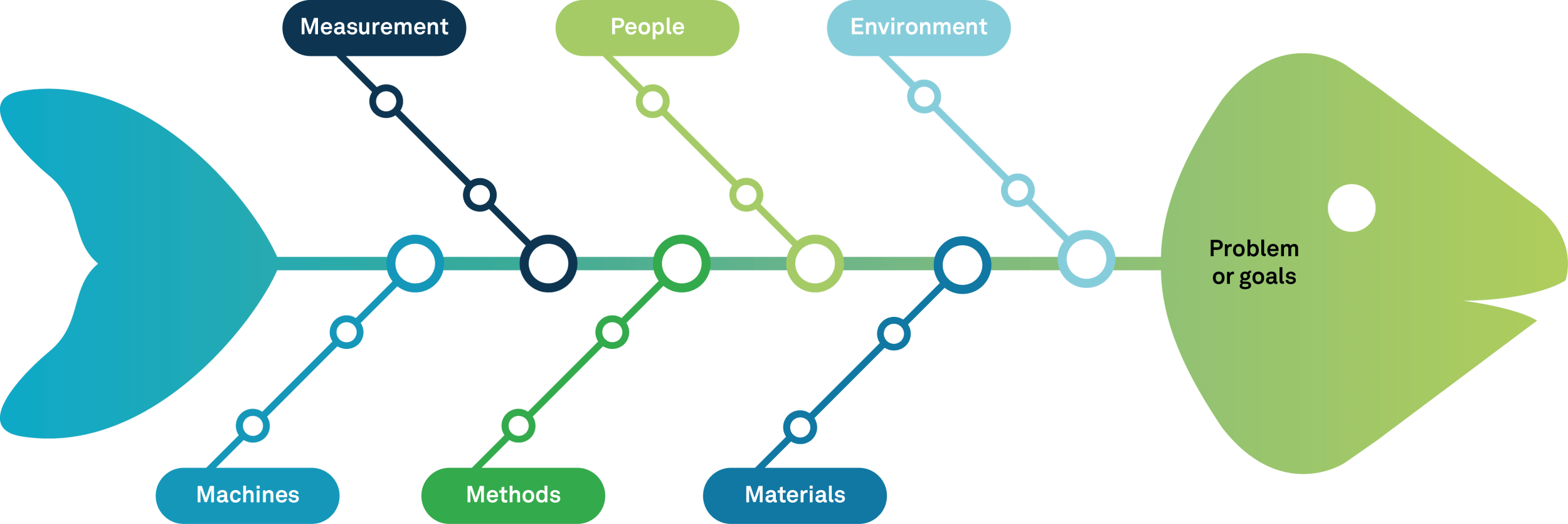 fishbone diagram